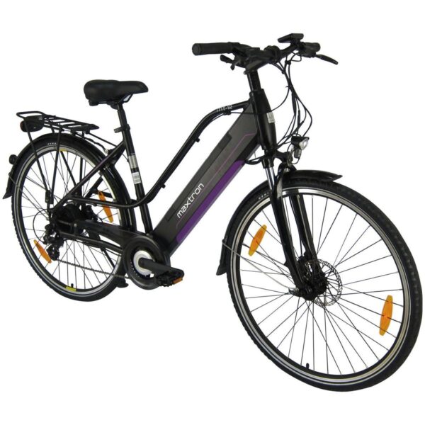 2519103 e trekkingbike mt 12