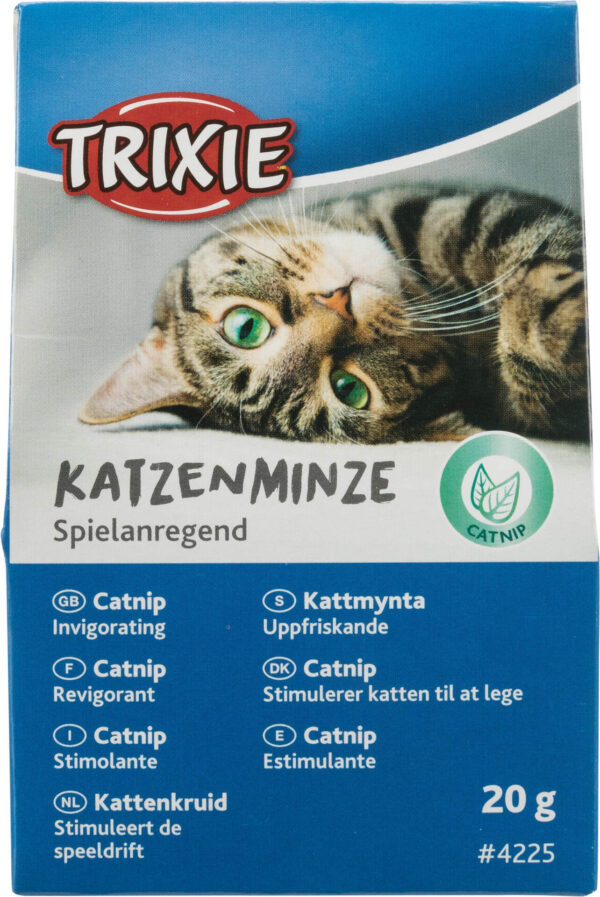 1260053 katzenminze