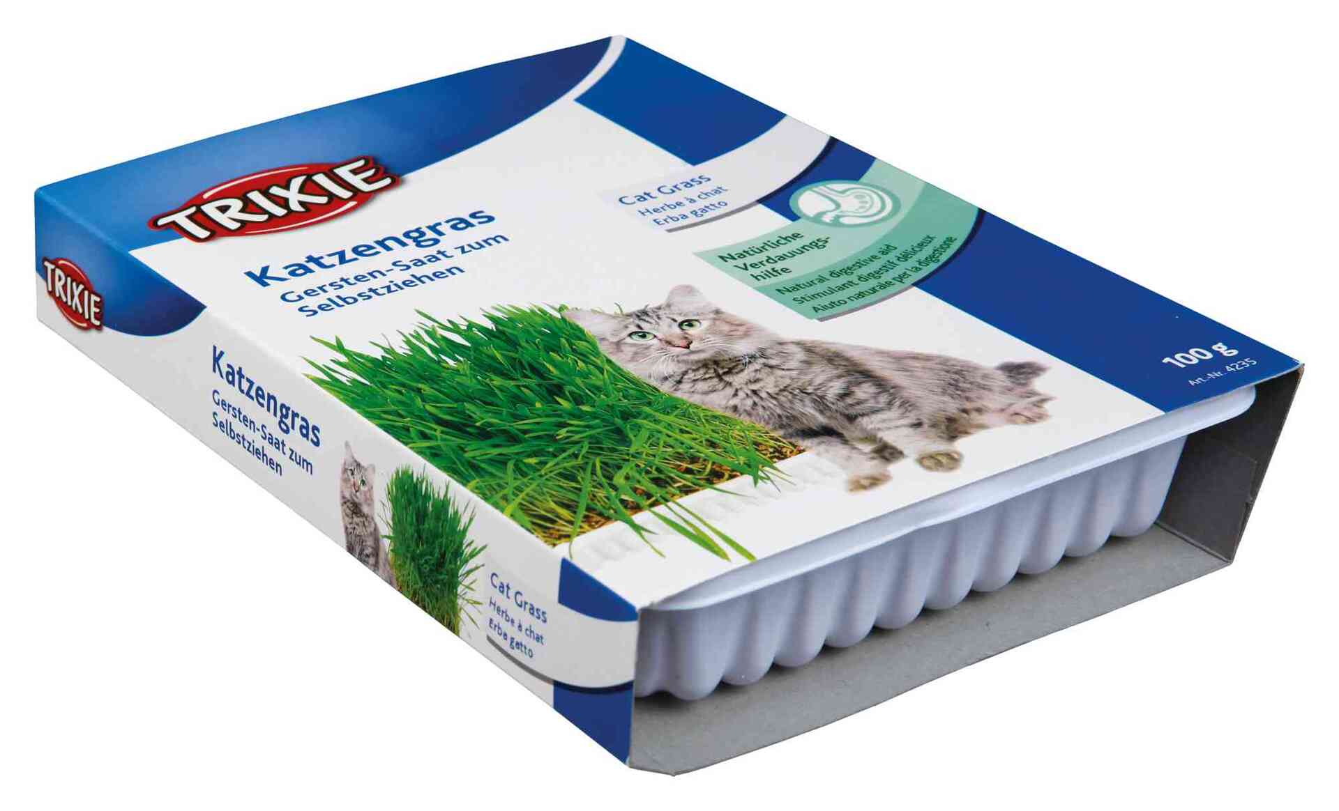 1260057 katzengras