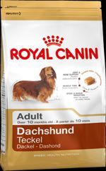 1300023 rc breed dachshund 28 adult