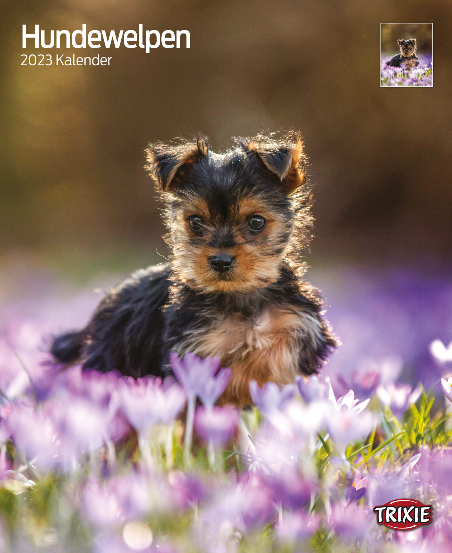 1324105 kalender hundewelpen