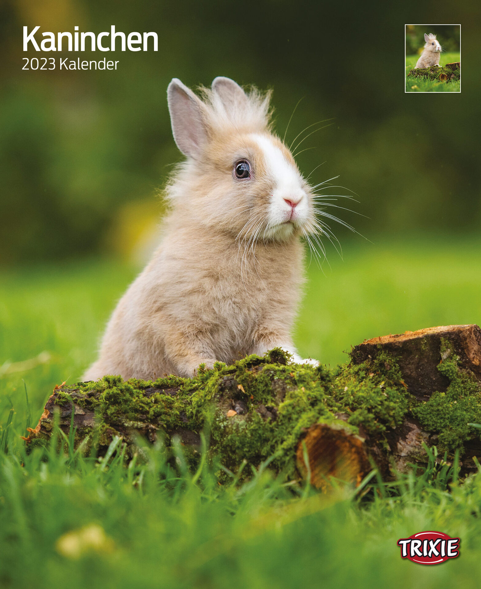 1324110 kalender kaninchen