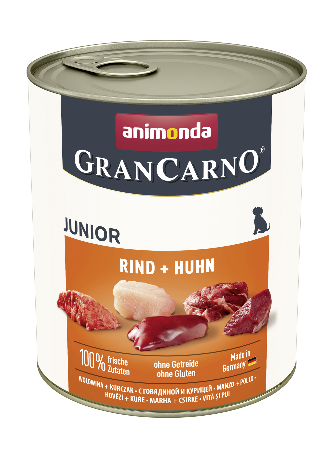 1860240 dog grancarno junior