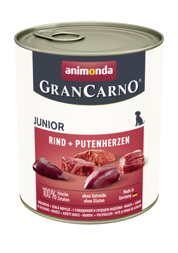 1860241 dog grancarno junior