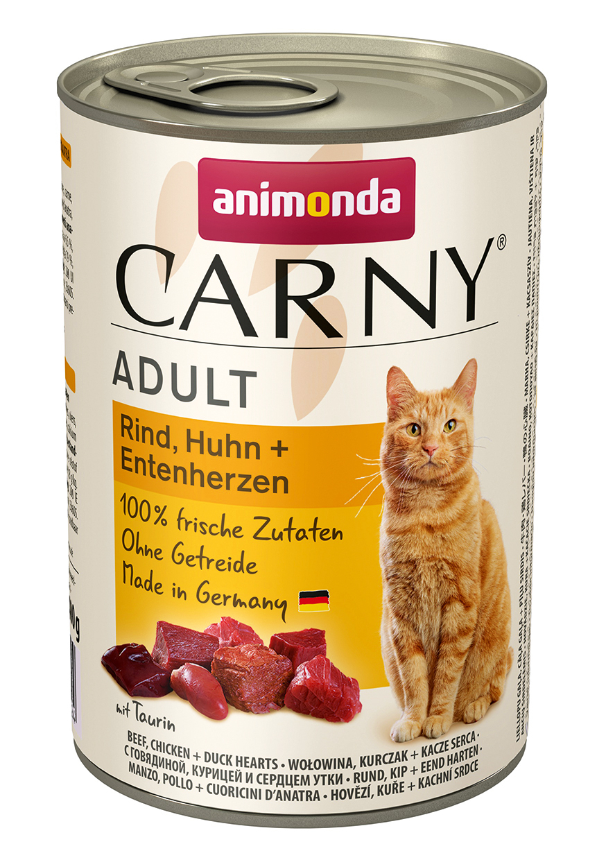 2021321 cat carny adult