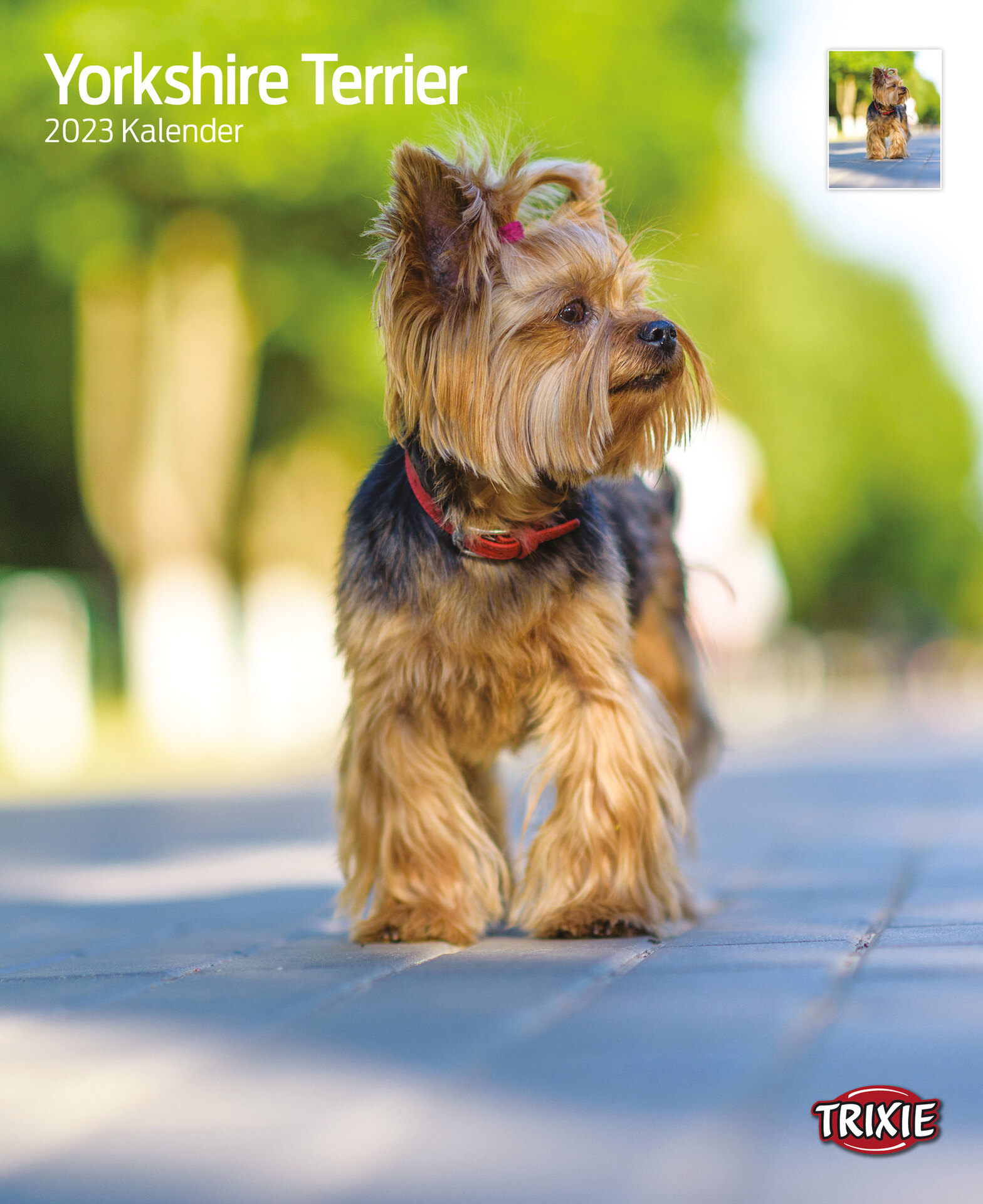 1324104 kalender yorkshire terrier