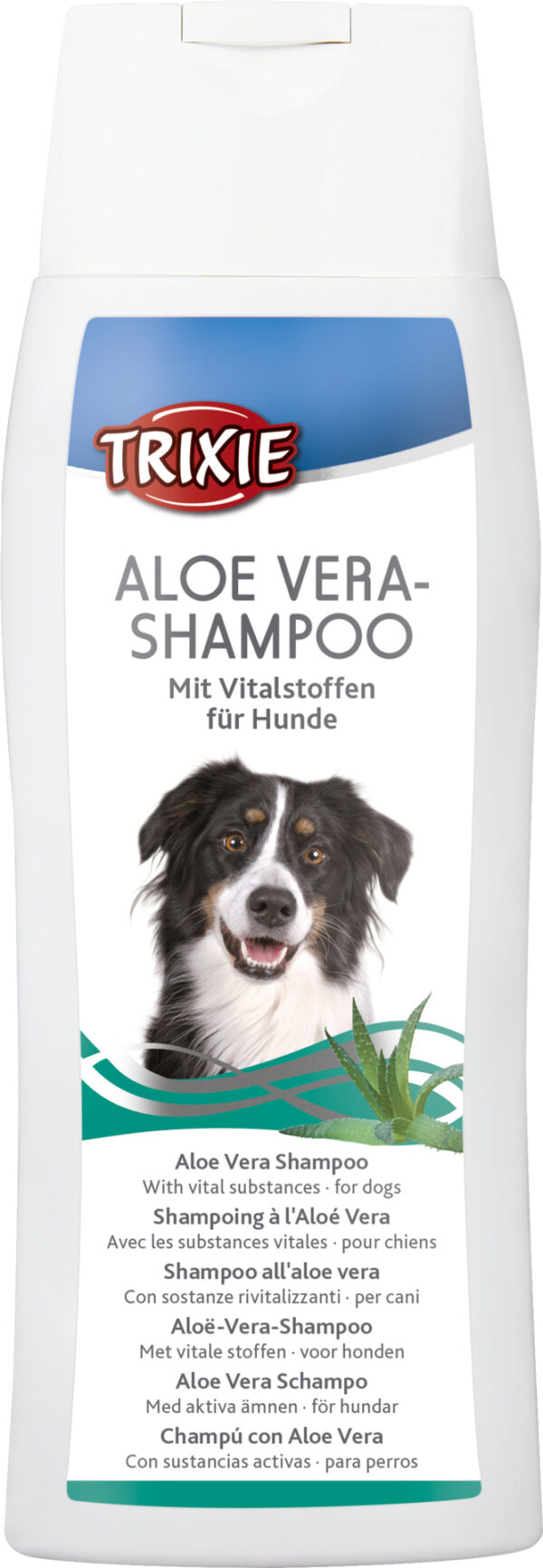 1544572 aloe vera shampoo