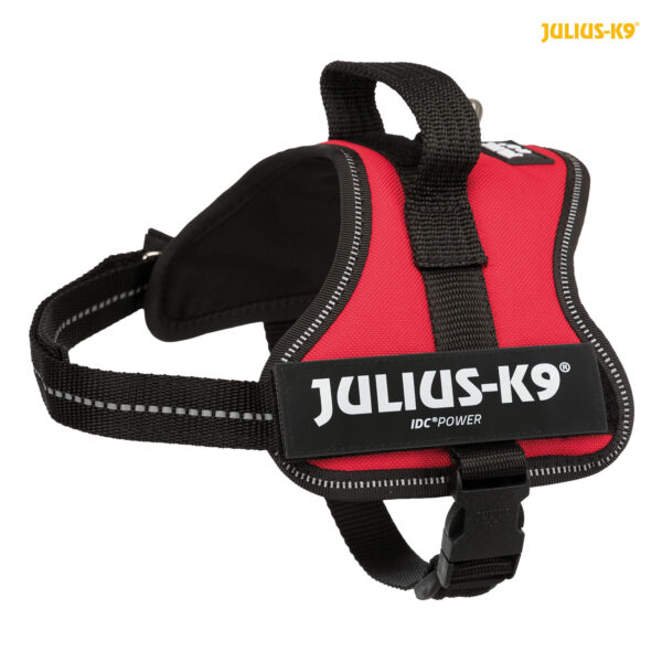 1686986 julius k9 powergeschirr baby 1 mini