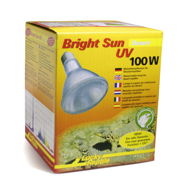 1947343 bright sun uv desert