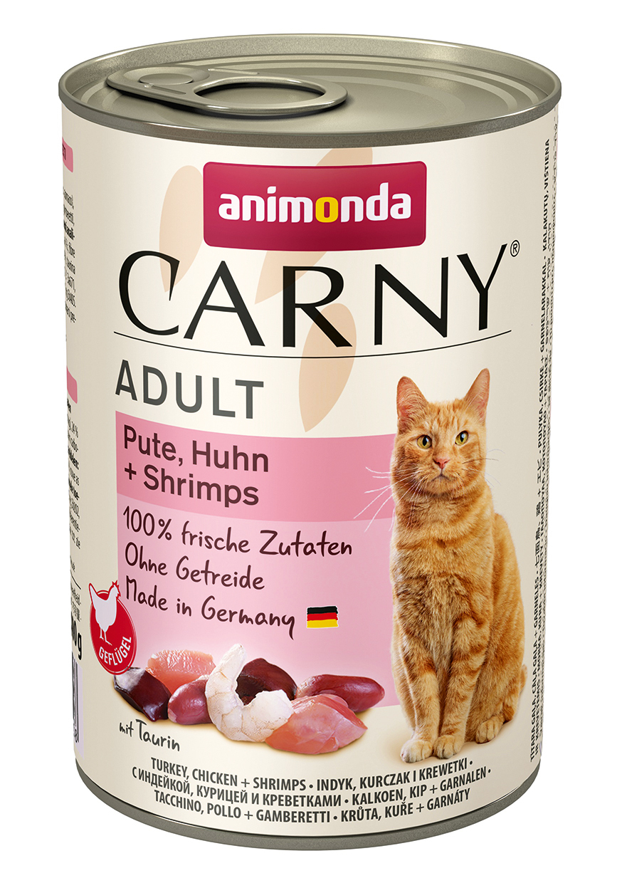 2135608 cat carny adult