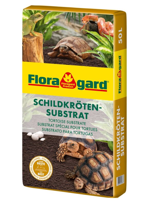 2434834 schildkroeten und terrariensubstrat