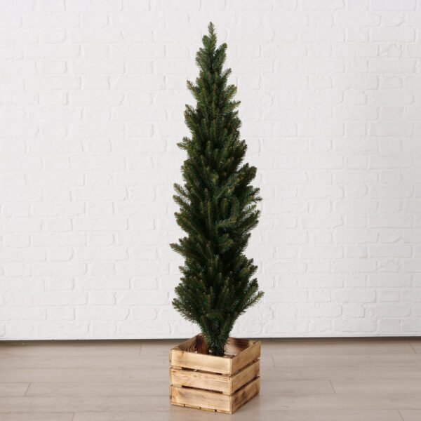 2463283 weihnachtsbaum kajus