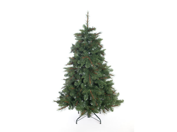 2559531 weihnachtsbaum mesa fichte