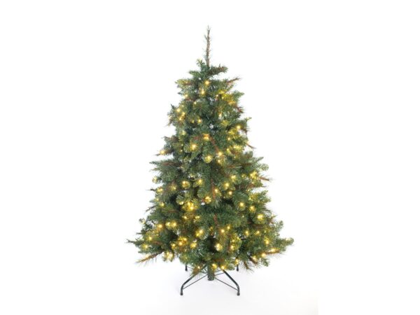 2559532 weihnachtsbaum mesa fichte