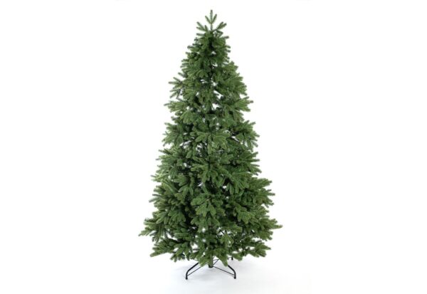 2559653 weihnachtsbaum roswell kiefer