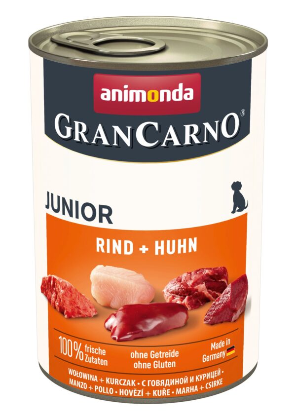 1232445 dog grancarno junior