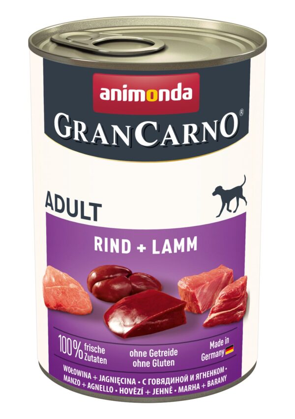 1232448 dog grancarno adult