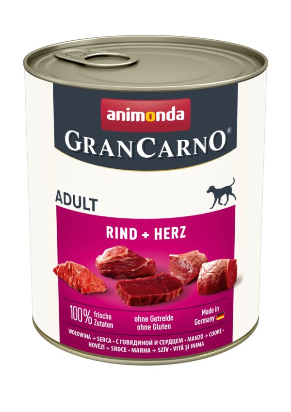 1232454 dog grancarno adult