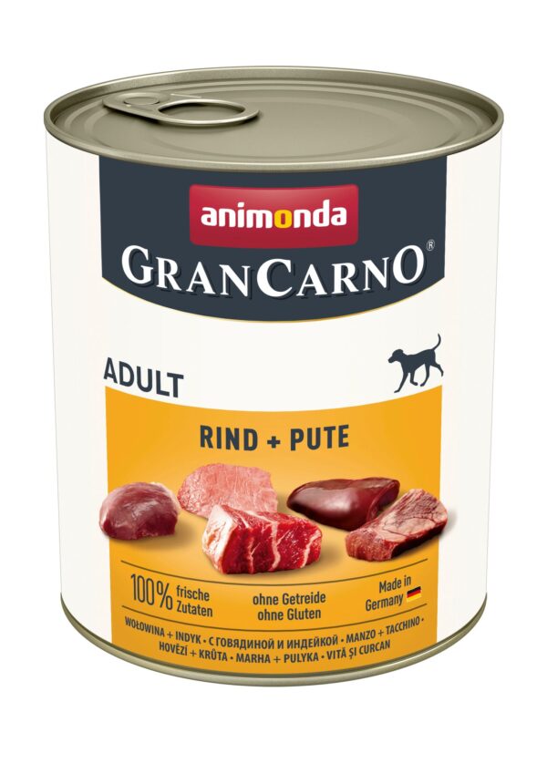 1232457 dog grancarno adult