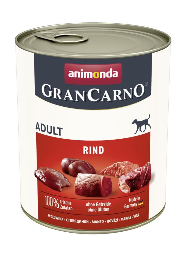 1232458 dog grancarno adult