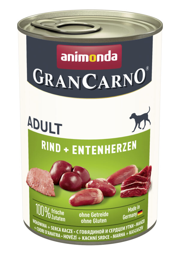 1232460 dog grancarno adult