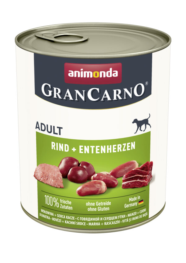 1232461 dog grancarno adult