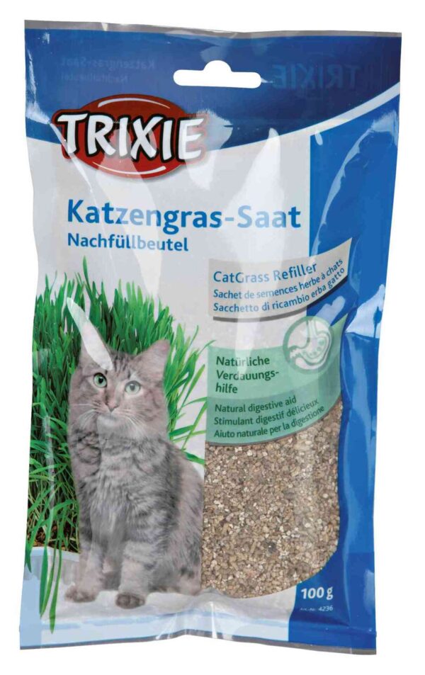 1260058 katzengras