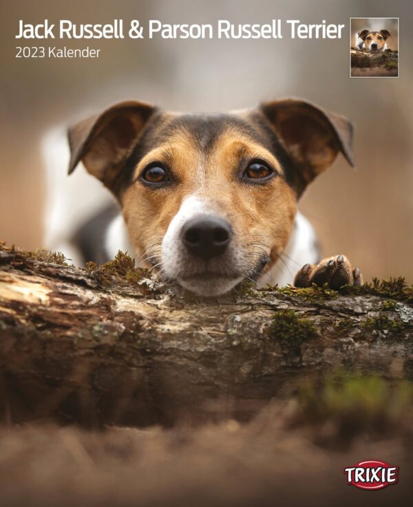 1324094 kalender jack russell parson russell terrier