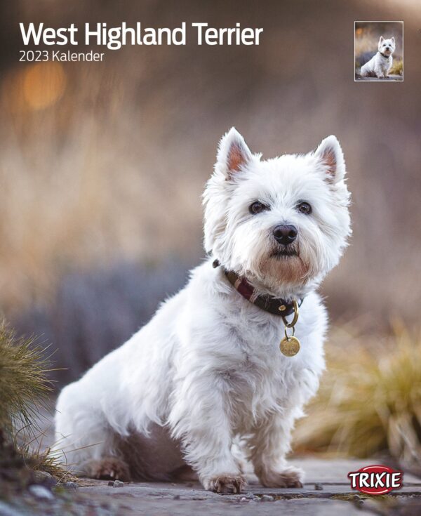 1324103 kalender west highland terrier