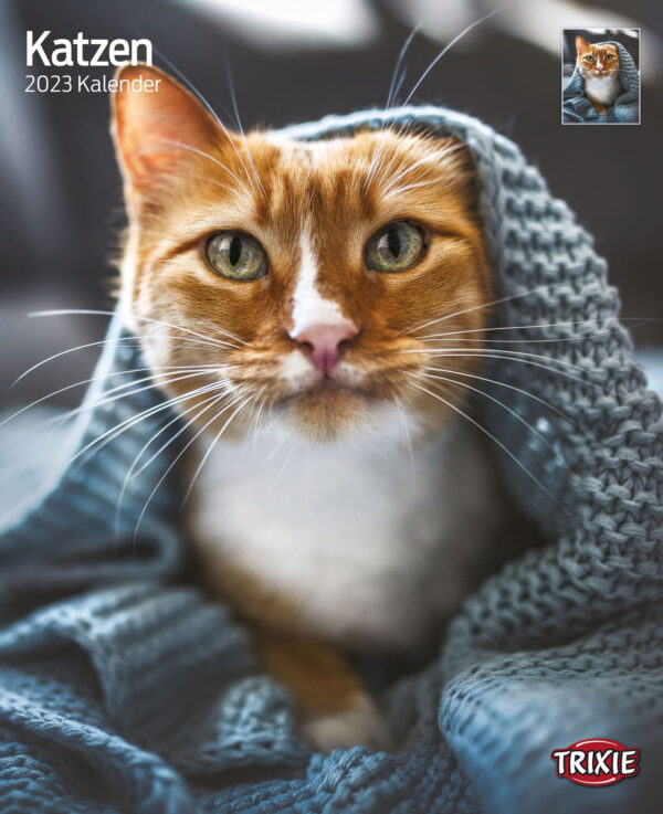 1324106 kalender katzen