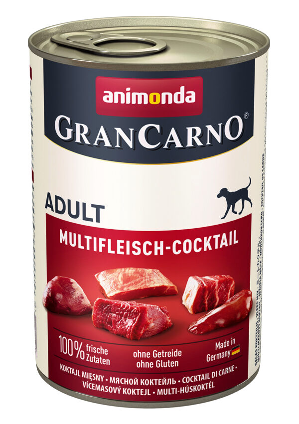 1453105 dog grancarno adult