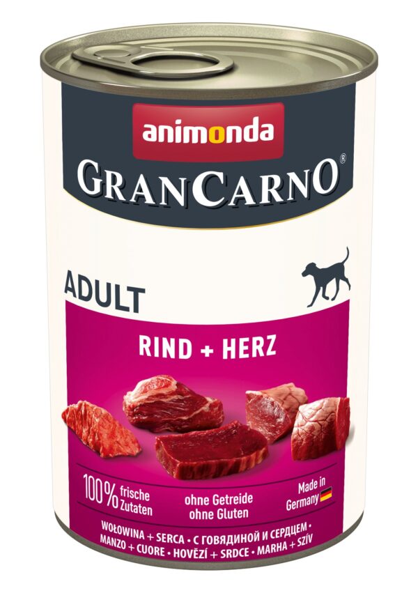 1453106 dog grancarno adult