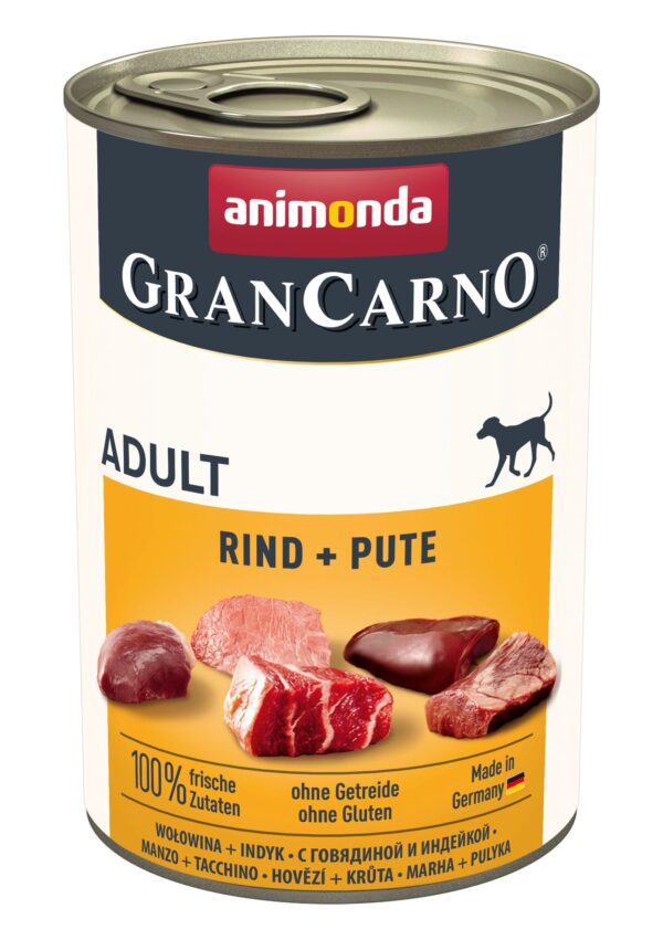 1453107 dog grancarno adult