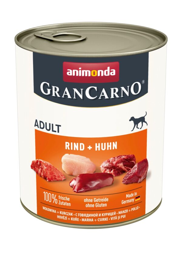 1453109 dog grancarno adult