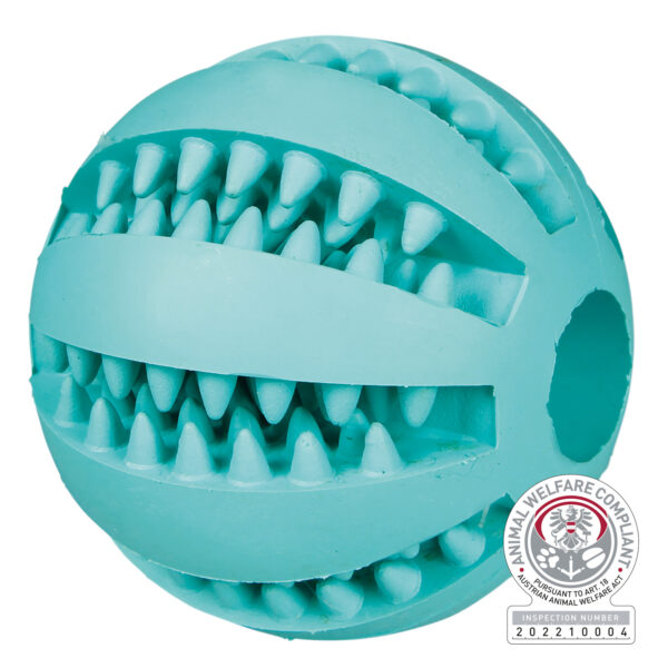 1540864 denta fun ball