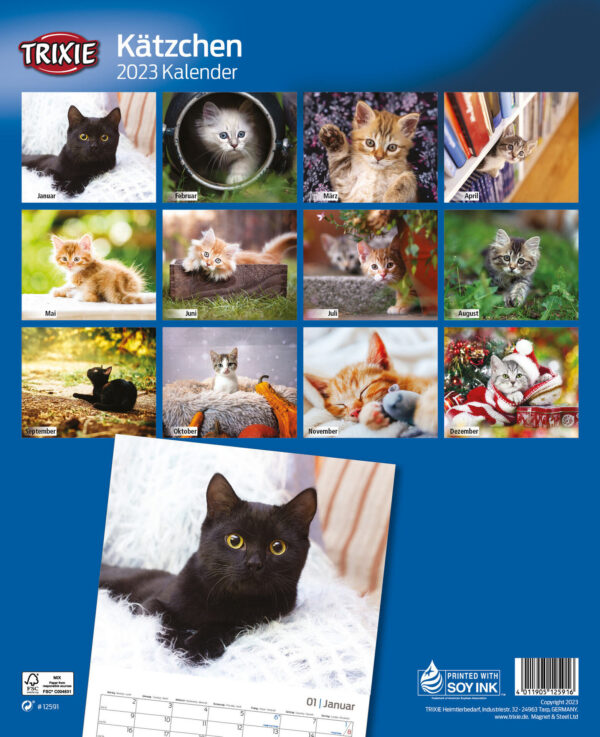 1544696 kalender kaetzchen