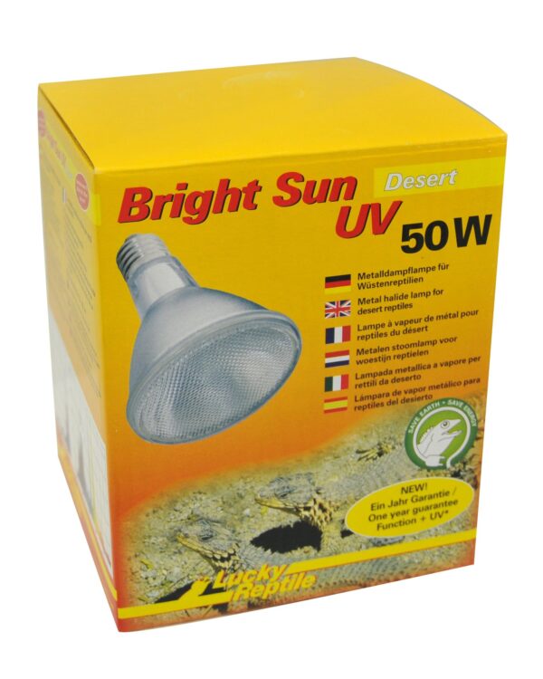 1561722 bright sun uv desert