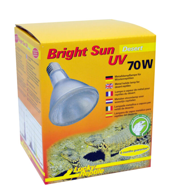 1561723 bright sun uv desert