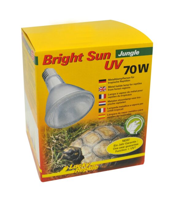 1561725 bright sun uv jungle