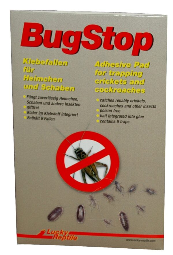 1561727 bug stop heimchen klebefalle