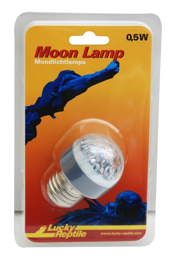 1561734 moon lamp