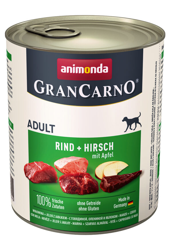 1671123 dog grancarno adult