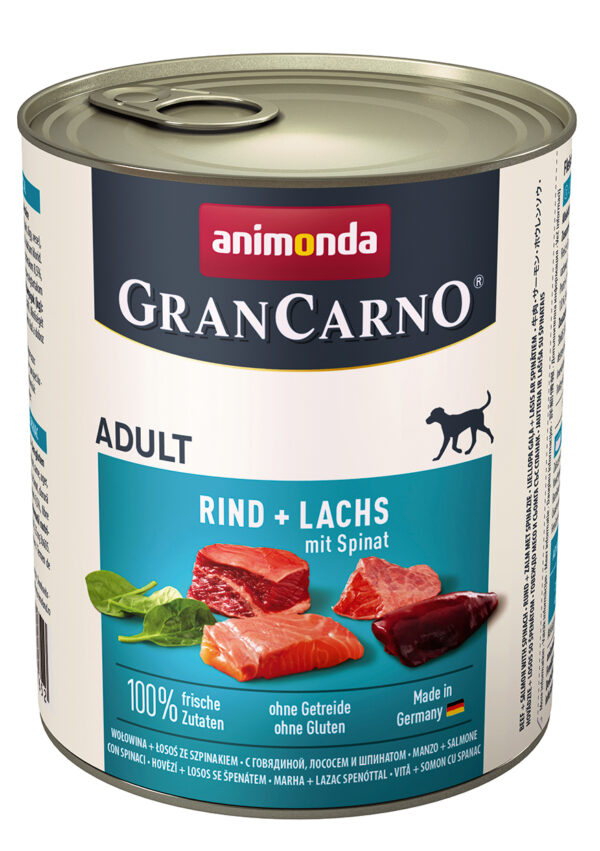 1671126 dog grancarno adult