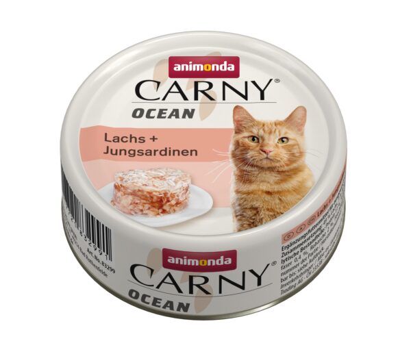 1698914 cat carny adult ocean 80g