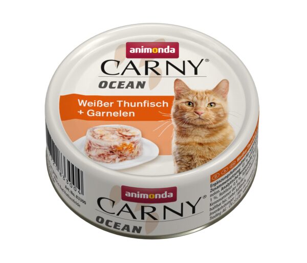 1698915 cat carny adult ocean 80g