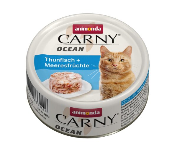 1698916 cat carny adult ocean 80g