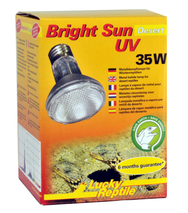 1701477 bright sun uv desert