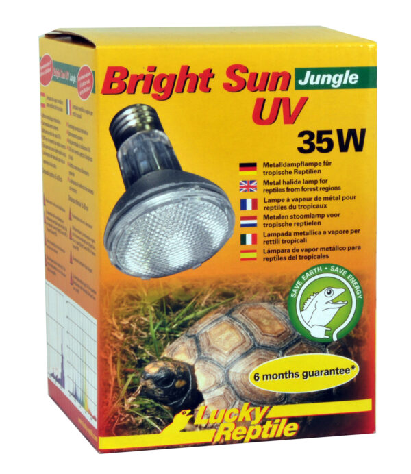 1701478 bright sun uv jungle