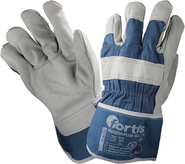 1732553 winterhandsch freezerplusgr 12 fortis