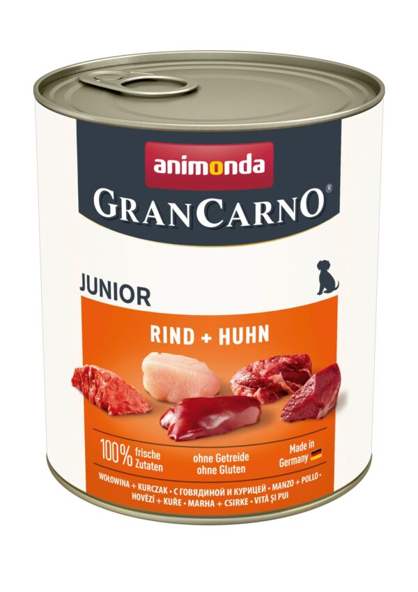 1860240 dog grancarno junior